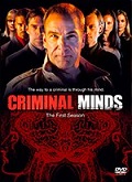 Mentes Criminales 13×18 [720p]